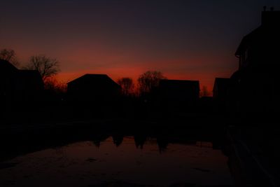 Silhouette of trees at sunset