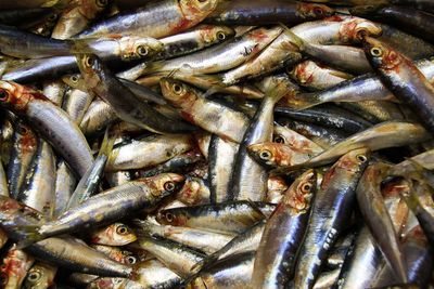 Full frame shot of fish for sale in market