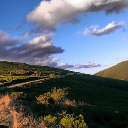 Scenic view of field against cloudy sky