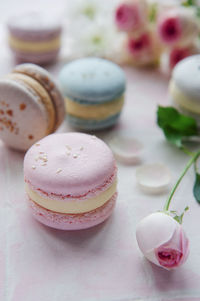 Beautiful colorful tasty macaroons on a pink tile background