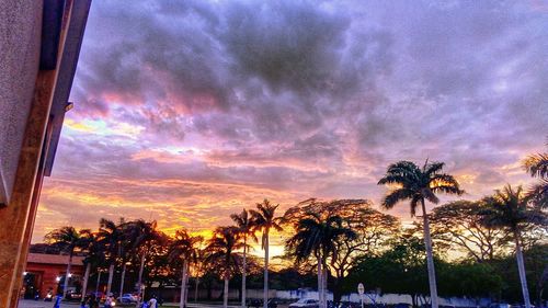 Silhouette of palm trees against cloudy sky