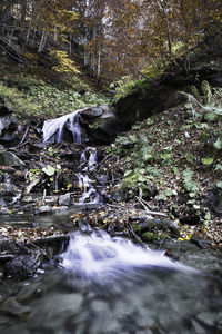 Stream flowing through rocks in forest