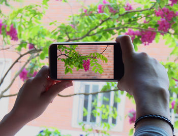 Cropped image of woman photographing flowers while using mobile phone