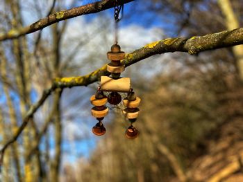 Low angle view of decoration hanging on tree