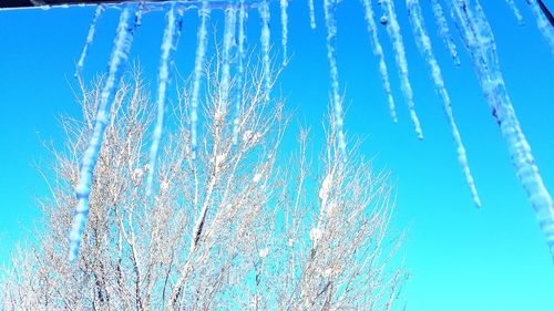 Low angle view of icicles against blue sky