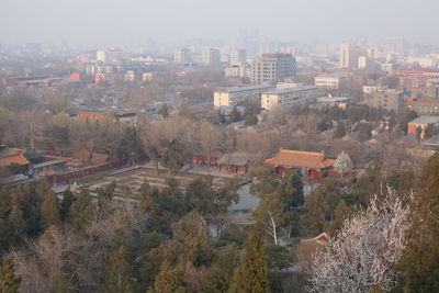 Buildings in city