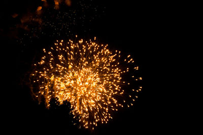 Low angle view of firework display at night