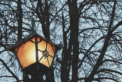 Low angle view of bare trees against sky