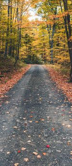 Road amidst trees during autumn