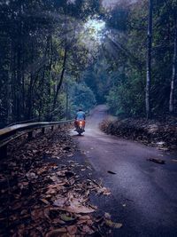 Rear view of man riding bicycling on road in forest