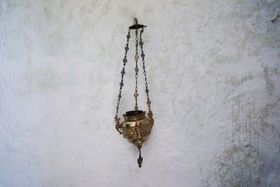 Close-up of bird perching on wall