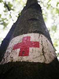 Low angle view of tree trunk