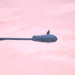 Close-up of pink light against sky