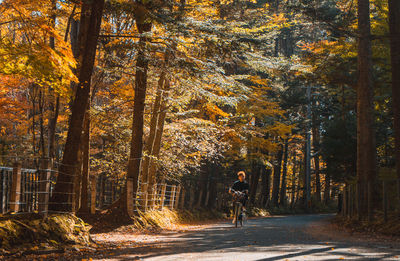 Man riding bicycle on road amidst trees in forest during autumn