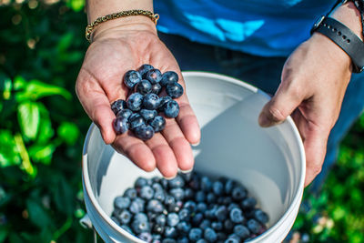 Close-up of cropped hand holding food