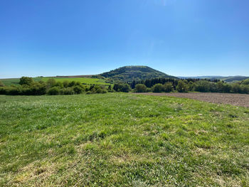 Scenic view of field against clear blue sky