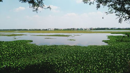 Scenic view of lake against sky