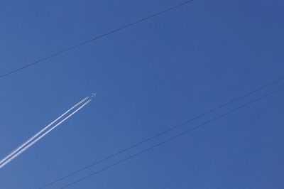 Low angle view of birds flying against blue sky