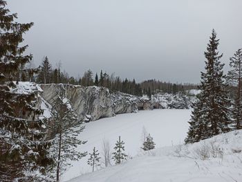 Snow covered land and trees against sky