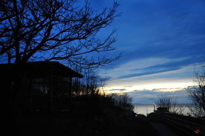 Bare trees against sky at sunset