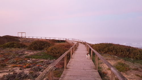 Boardwalk leading towards footbridge against sky