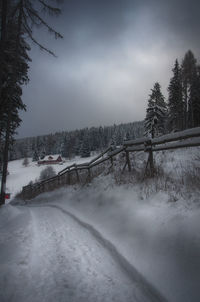 Bare trees on snow covered landscape