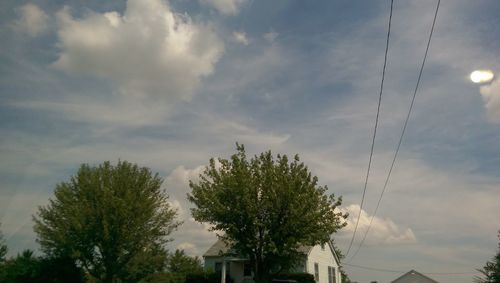 Low angle view of trees against cloudy sky