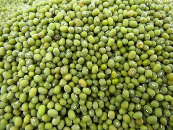 Full frame shot of green beans