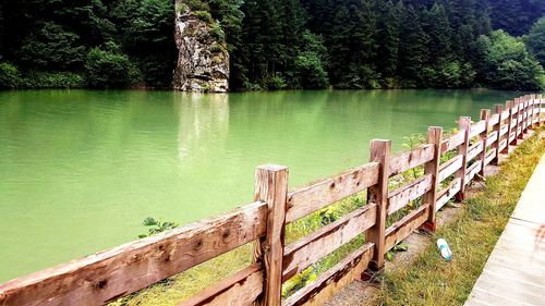 Wooden posts on lake against trees