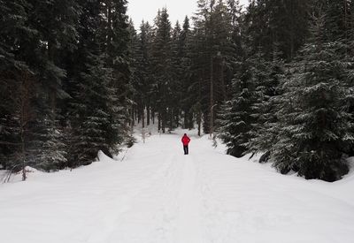 Rear view of person walking on snow covered land