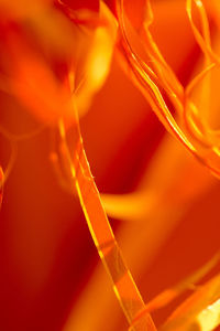 Full frame shot of orange flowering plant