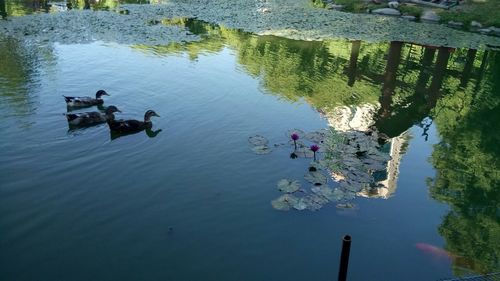 High angle view of people on lake