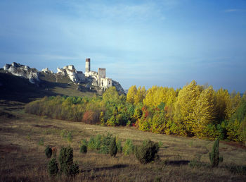 Scenic view of farm against blue sky