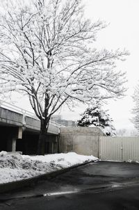 Bare tree in snow against clear sky