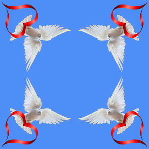 Low angle view of white flying against blue sky