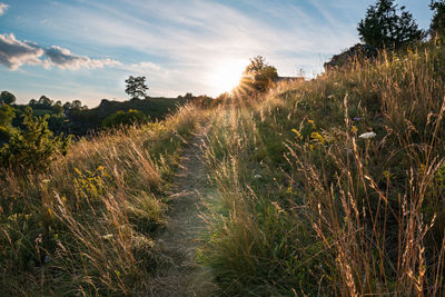 Rock hillside of franconian switzerland, sunset on summer evening