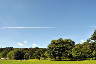 Scenic view of trees on field against sky