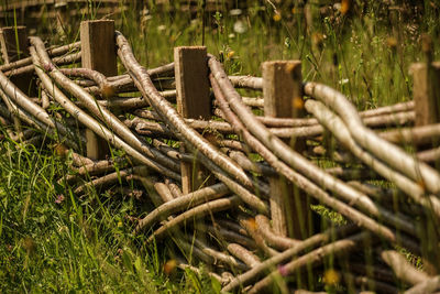 Close-up of wooden fence on field