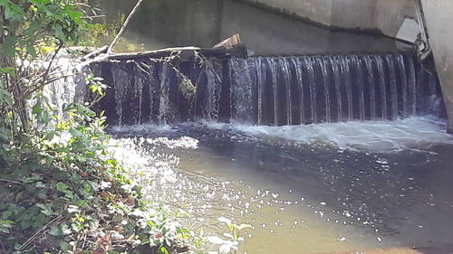 Scenic view of waterfall