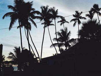 Low angle view of silhouette palm trees against sky