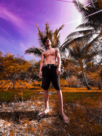 Rear view of shirtless man standing by palm tree against sky
