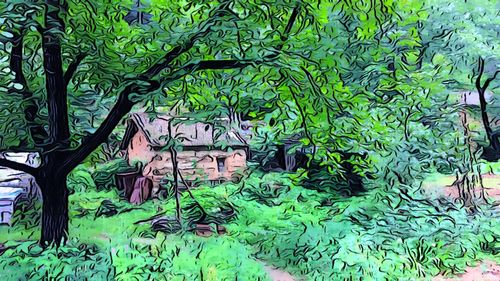 Plants against trees