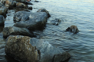 Rocks in sea