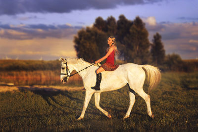 Horse on field against sky during sunset