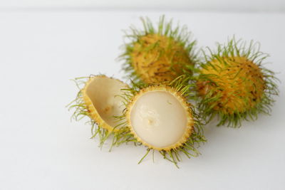 High angle view of lemon on table against white background