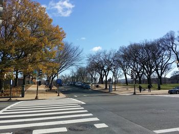 Road amidst bare trees against sky