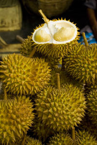 Close-up of yellow flowers growing in market