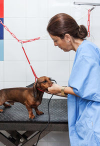 Female veterinarian examining dog in animal hospital