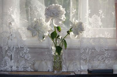 Close-up of white flower vase against window