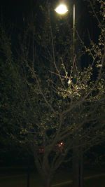 Low angle view of illuminated street light at night